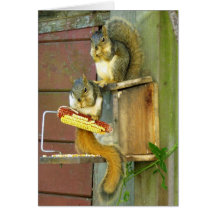 Squirrel friends greeting cards