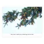 Squirrel Going Out on a Limb Postcards