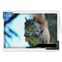 Squirrel Greeting Card