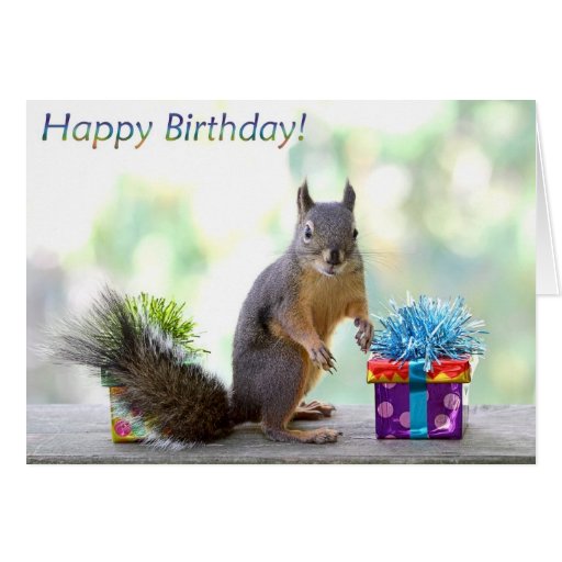 Free Printable Squirrel Birthday Cards