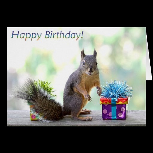 Squirrel Happy Birthday Greeting Card Zazzle