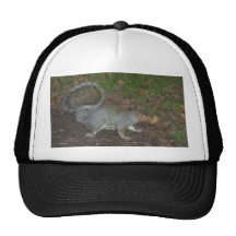 Squirrel hat