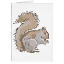 Squirrel Illustration