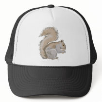 Squirrel Illustration