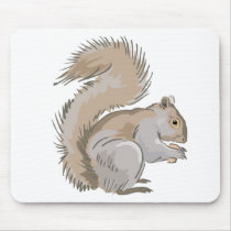 Squirrel Illustration