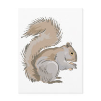 Squirrel Illustration