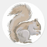 Squirrel Illustration Round Sticker