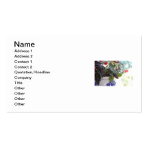 Squirrel in Flower Pot Business Card