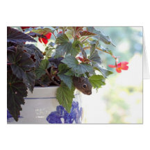 Squirrel in Flower Pot Card