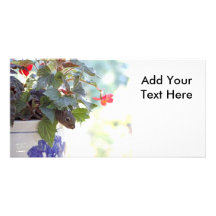 Squirrel in Flower Pot Photo Card