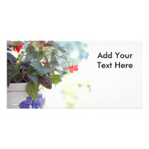 Squirrel in Flower Pot Photo Card