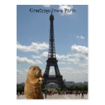 Squirrel in Paris Postcard c