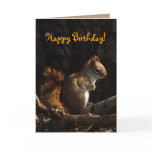 Squirrel in Sunlight Birthday Greeting Card