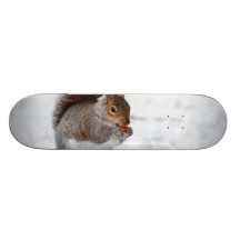 Squirrel in the Winter Skate Board Deck