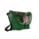 Squirrel In Tree Courier Bags