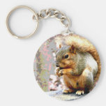 Squirrel Key Chains