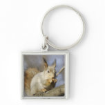 Squirrel Key Chain