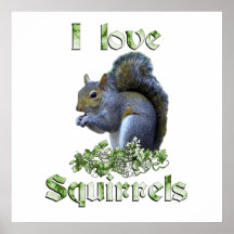 Squirrel Love Poster