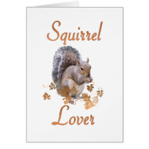 Squirrel Lover Cards
