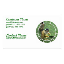 Squirrel Monkey Business Card