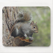 Squirrel Mousepad 2