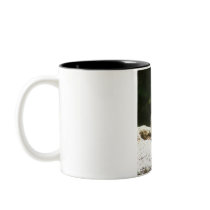 Squirrel Mugs