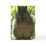 Squirrel Note Card