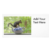Squirrel on a Teapot Photo Cards
