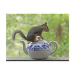Squirrel on a Teapot Post Cards
