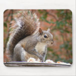 Squirrel on Feeder Mouse Pad