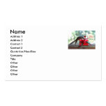 Squirrel Opening Christmas Present Business Card Template