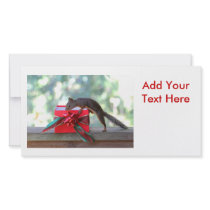 Squirrel Opening Christmas Present Photo Card Template