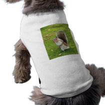 Squirrel Pet Clothing