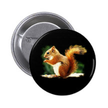 Squirrel Pinback Button