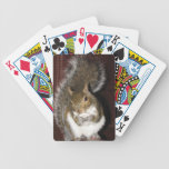 Squirrel Playing Cards