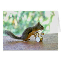 Squirrel Playing Drums Cards