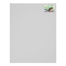 Squirrel Playing Drums Letterhead Template