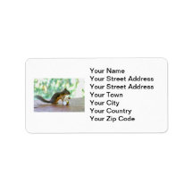 Squirrel Playing Drums Personalized Address Label