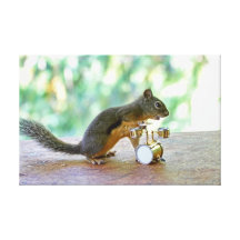 Squirrel Playing Drums Stretched Canvas Print