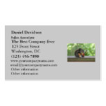 Squirrel Playing Electric Guitar Business Card Template