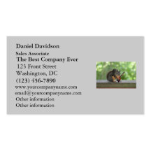 Squirrel Playing Electric Guitar Business Card Template