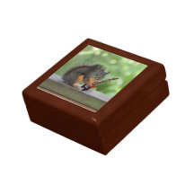 Squirrel Playing Electric Guitar Keepsake Box