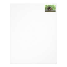 Squirrel Playing Electric Guitar Letterhead