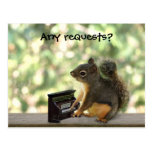 Squirrel Playing Piano Post Card