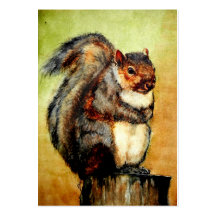Squirrel Portrait ACEO Art Trading Cards Business Card