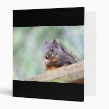 Squirrel Praying for Peanuts 3 Ring Binder
