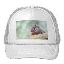 Squirrel Praying for Peanuts Mesh Hat