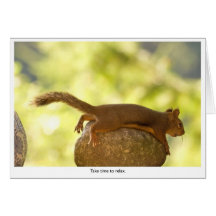 Squirrel Relaxing Cards