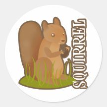 Squirrel Round Stickers