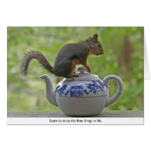 Squirrel Sitting on a Teapot Cards